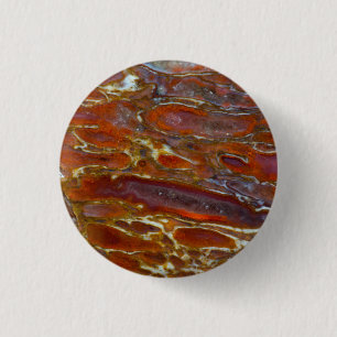 Versteende dinosaurusbot ronde button 3,2 cm
