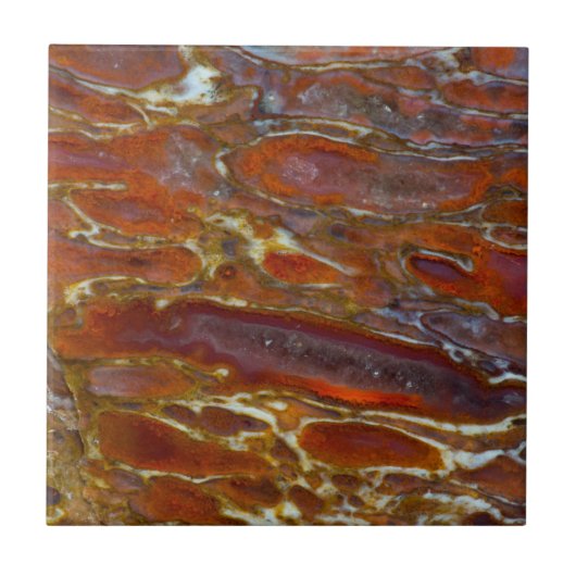 Versteende dinosaurusbot tegeltje (Voorkant)