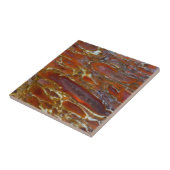 Versteende dinosaurusbot tegeltje (Zijkant)