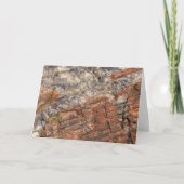 Versteende log Close-up I Kaart (Voorkant)