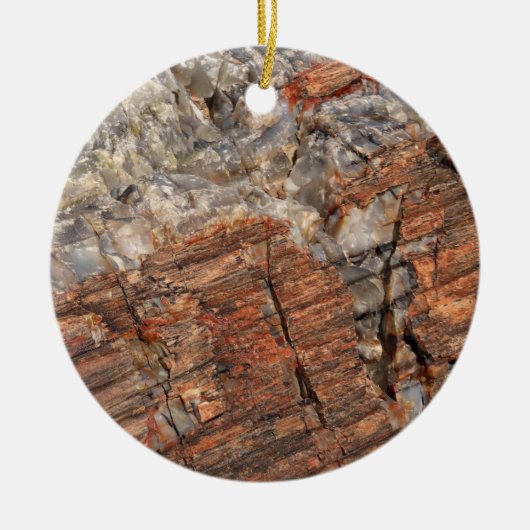 Versteende log Close-up I Keramisch Ornament (Voorkant)
