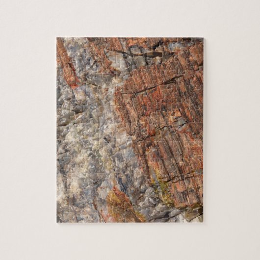 Versteende log Close-up I Legpuzzel (Verticaal)