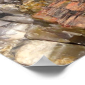 Versteende log Close-up I Poster (Hoek)