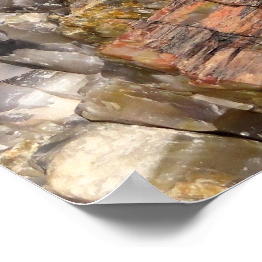 Versteende log Close-up I Poster (Hoek)