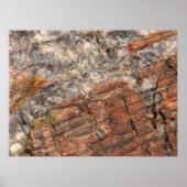 Versteende log Close-up I Poster (Voorkant)