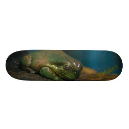 Versteende Pad Persoonlijk Skateboard