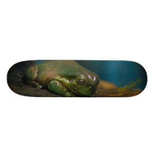 Versteende Pad Persoonlijk Skateboard