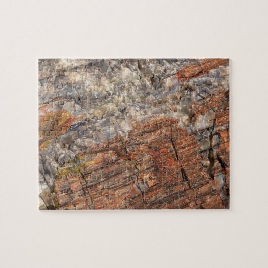 Versteende stam Close-up I Legpuzzel (Horizontaal)