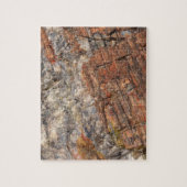 Versteende stam Close-up I Legpuzzel (Verticaal)