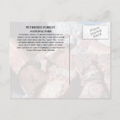 Versteende stammen, Versteende bossen NP, Arizona Briefkaart (Achterkant)
