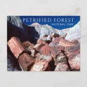 Versteende stammen, Versteende bossen NP, Arizona Briefkaart (Voorkant)