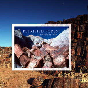 Versteende stammen, Versteende bossen NP, Arizona Briefkaart