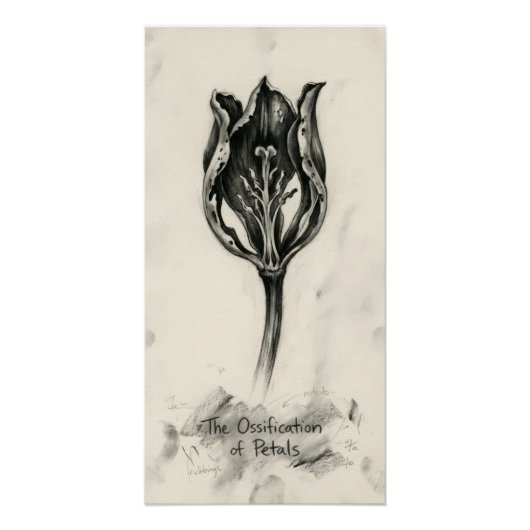 Verstening van bloemblaadje perfect poster (Voorkant)