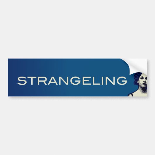 VERSTERKING BUMPERSTICKER (Voorkant)