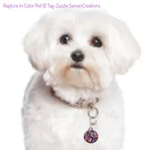 Versterking in kleur