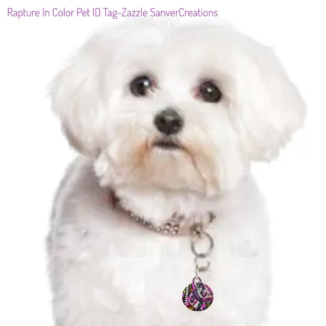 Versterking in kleur huisdierpenning (Creator heeft geüpload)