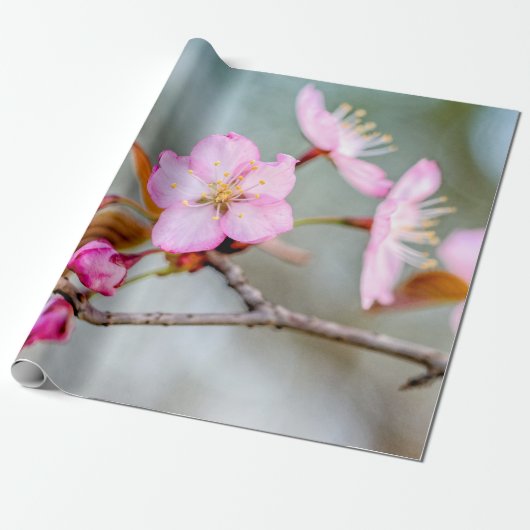 Versterking van de Sakura-bloemen Cadeaupapier (Uitgerold)