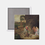 Versterking van de schaaphersen, 1510 magneet (Voorkant / Achterkant)