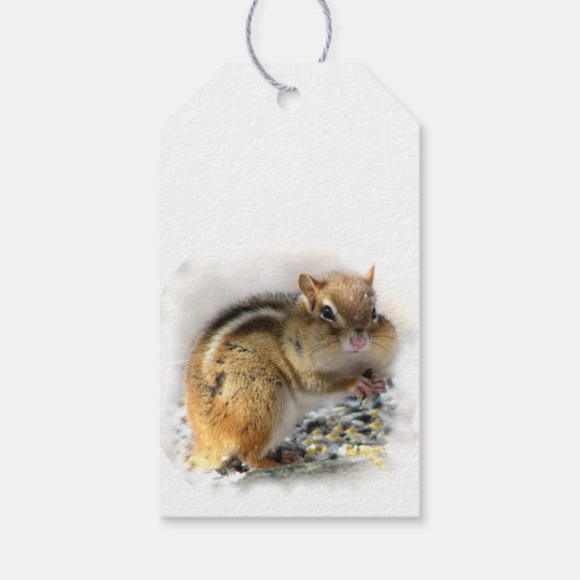 Versterking van het chipmunkpak van de Gift Labels Cadeaulabel (Achterkant)
