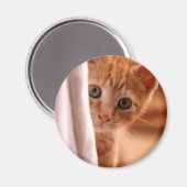 Verstoppertje Kitty koelkastmagneet Magneet (Voorkant / Achterkant)