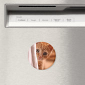 Verstoppertje Kitty koelkastmagneet Magneet (Insitu (Vaatwasser))