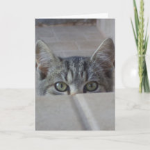 Verstoppertje-poes Verjaardagskaart