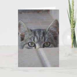Verstoppertje-poes Verjaardagskaart Kaart