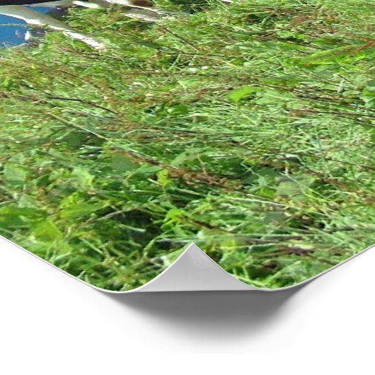 Verstorte koe poster (Hoek)