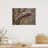 Verstraald fir cone poster (Keuken)