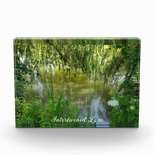 Verstrengeld liefdesfotoblok fotoblokken (Voorkant)