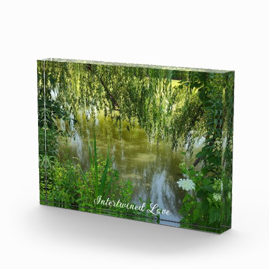 Verstrengeld liefdesfotoblok fotoblokken (Rechts)