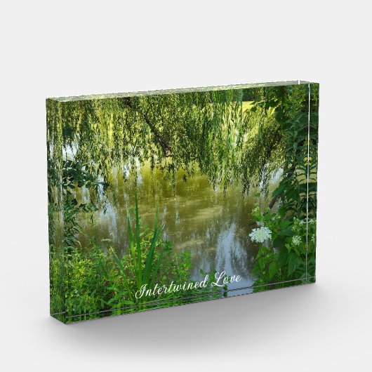 Verstrengeld liefdesfotoblok fotoblokken (Links)