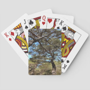 Verstrengelde takken van dennenbomen Bizarre persp Pokerkaarten