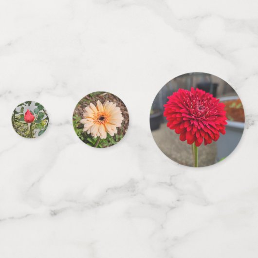 Verstrooiing van bloemen confetti (Achterkanten)