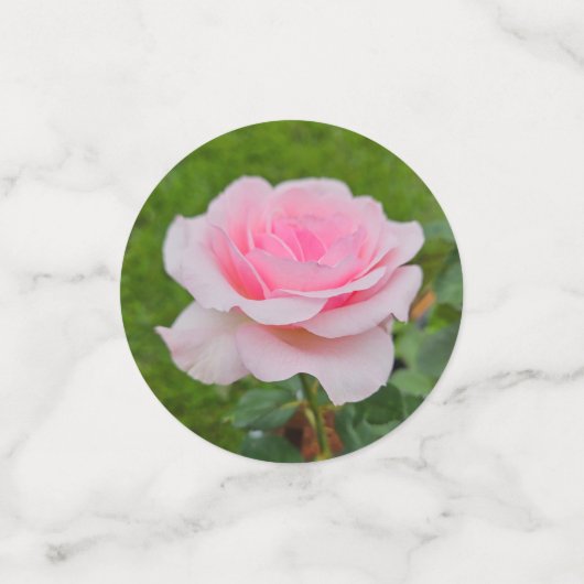 Verstrooiing van bloemen confetti (Kleine voorkant)