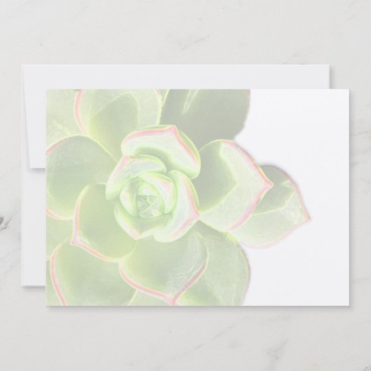 Vertaalde groene weddenschap kaart (Achterkant)