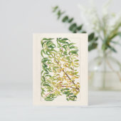 Vertakking van perziken (Prunus Persica) Briefkaart (Staand voorkant)