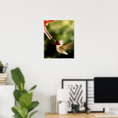 Vertaling van de Hummingbird Poster (Thuiskantoor)