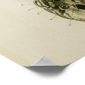 Vertebrae Botten  Anatomie Afdrukken Poster (Hoek)