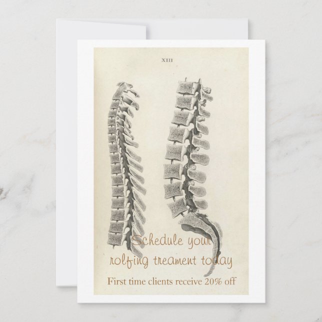 Vertebrae tekening (Voorkant)