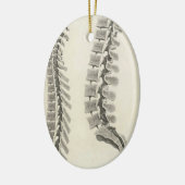 Vertebrae tekening keramisch ornament (Links)
