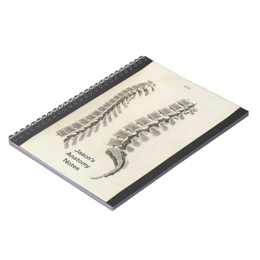 Vertebrae tekening notitieboek (Linkerzijde)
