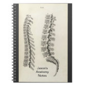 Vertebrae tekening notitieboek (Voorkant)