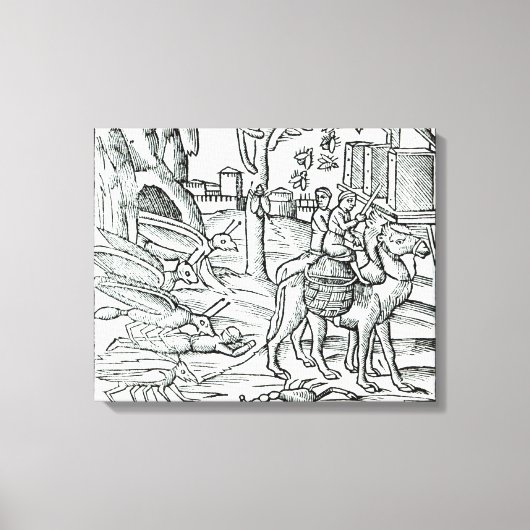 Vertegenwoordiging van de Plague, 1572 Canvas Afdruk (Voorkant)