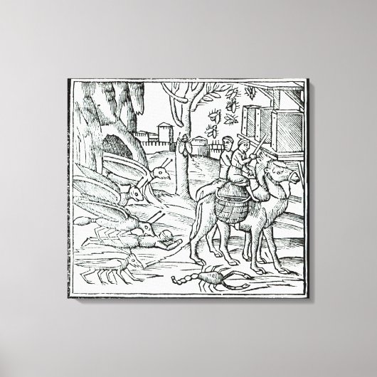 Vertegenwoordiging van de Plague, 1572 Canvas Afdruk (Voorkant)