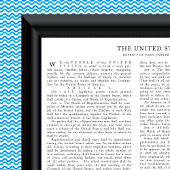 Vertegenwoordiging van John Carter, grondwet van d Poster