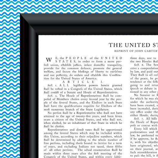 Vertegenwoordiging van John Carter, grondwet van d Poster