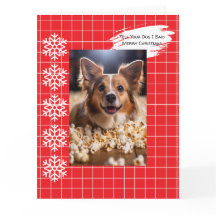 Vertel je hond dat ik Prettig Kerstfeest zei