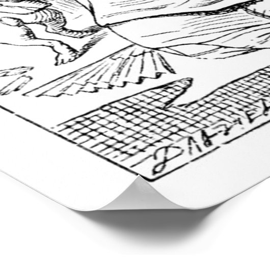 Verteller en curiouser! poster (Hoek)