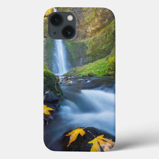 Verticaal panorama-uitzicht van tunnelHerfsten Case-Mate iPhone Case (Achterkant)